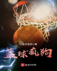 篮球疯狗 小说