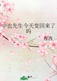 今日份的中也小姐