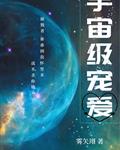 宇宙级宠爱讲的什么