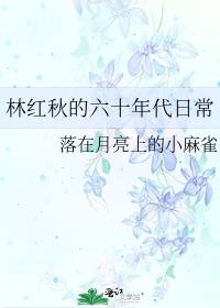 六零年代生活日记林阿律