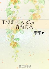 王俊凯同人文b站