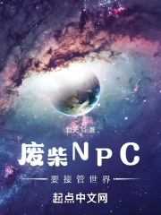 废柴NPC要接管世界TXT下载