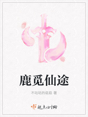 觅仙路讲的是什么