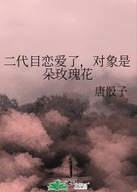 二代恋人是什么意思