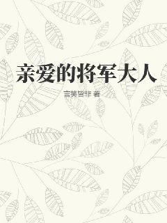 将军大人请指教