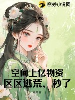 空间囤满物资穿越年代文下载