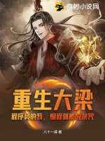 程序员重生创业的小说