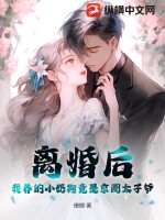 离婚后 小说