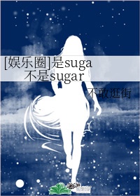 [娱乐圈]是suga不是sugar免费阅读